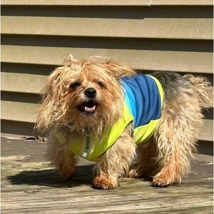Sun squad, pet/dog cooling pet‎ vest top shirt size small NWT